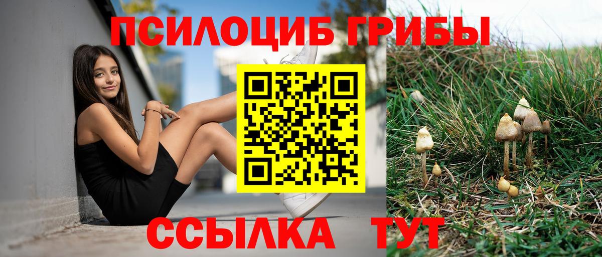 Псилоцибиновые грибы GOLDEN TEACHER  Вход с VPN  Бийск 