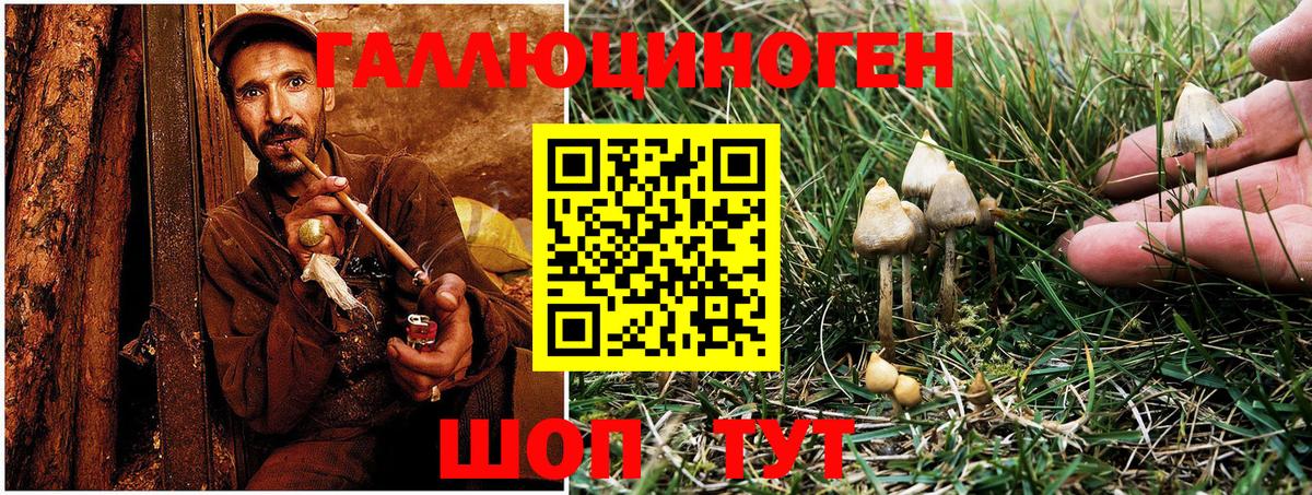 Галлюциногенные грибы Cubensis Бийск